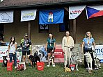 IMG_0415.jpg